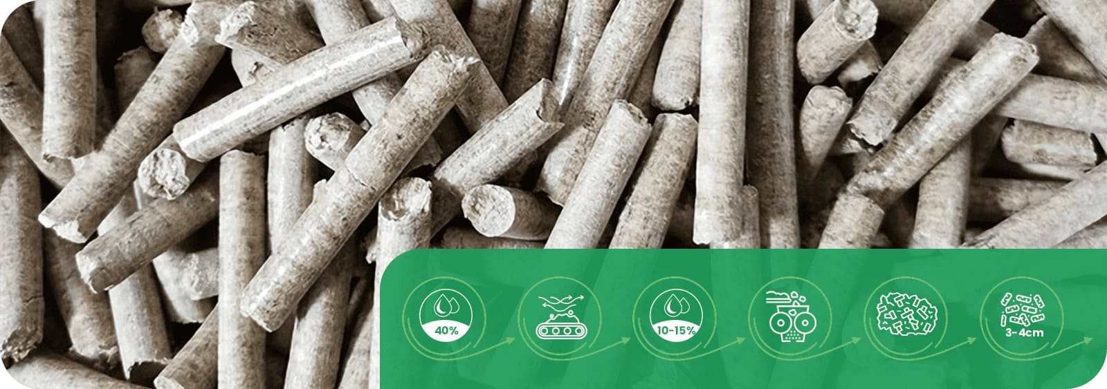 Biomass Pellets